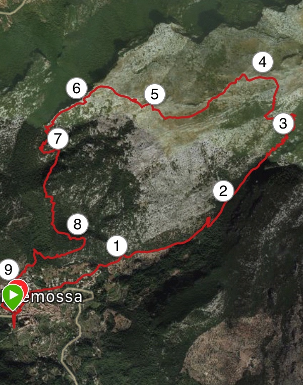 563C6923-E567-4A8E-86D5-2727168D34F8