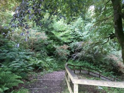 Entrance to Dhoon Glen