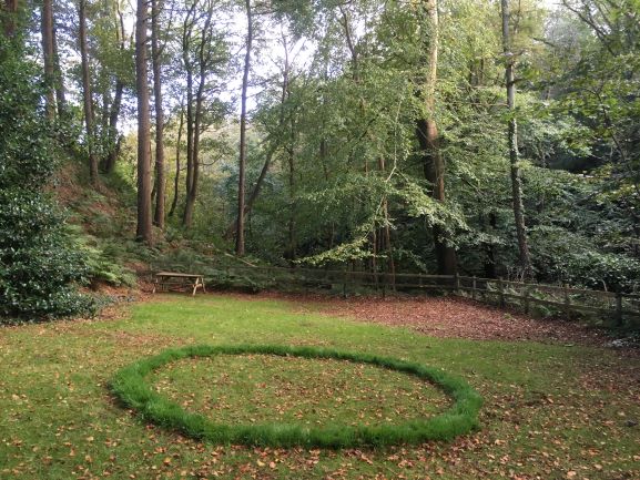 Fairy Ring