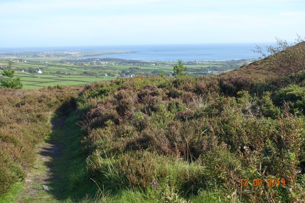 What goes up must go down.JPG