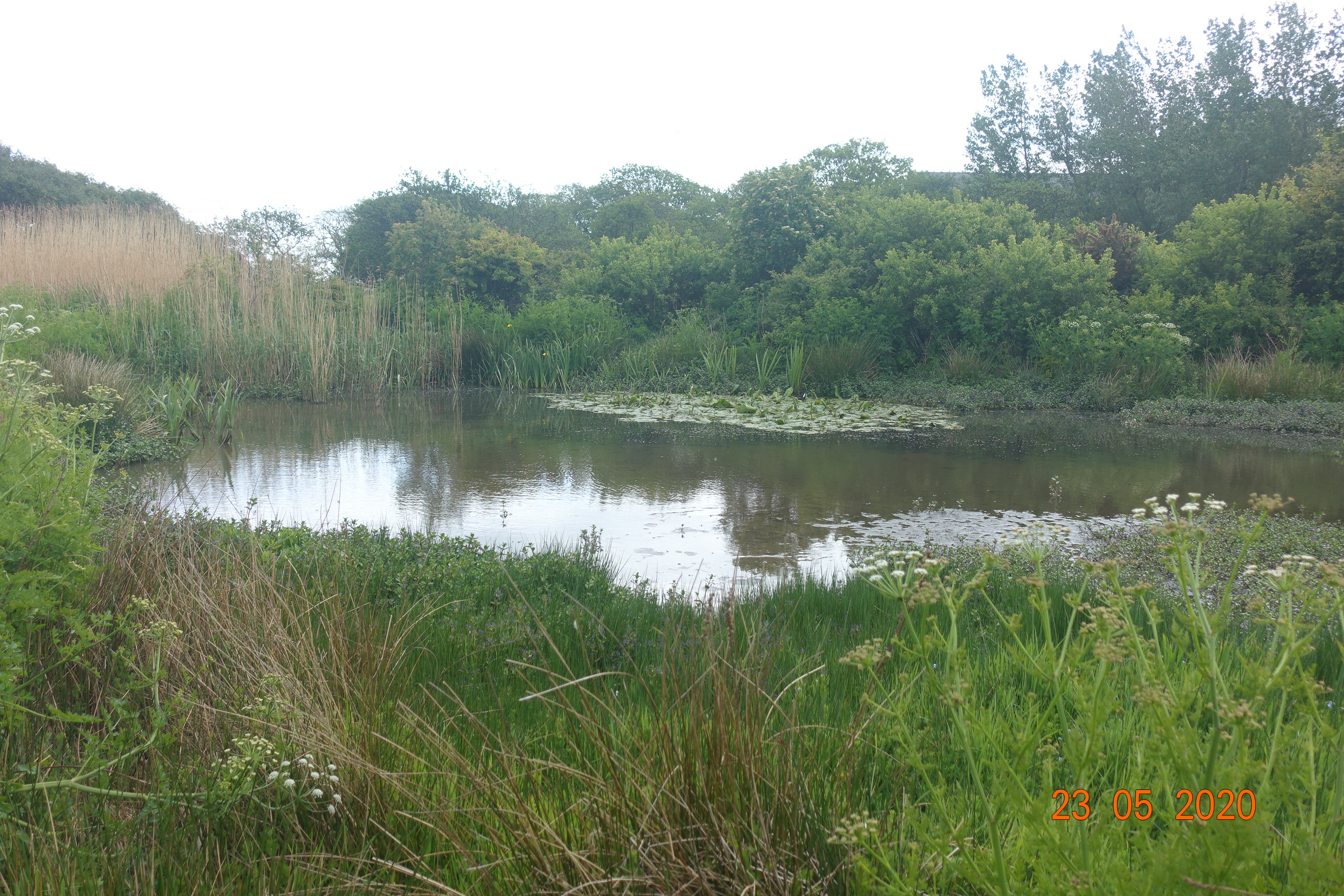 Ballachurry Nature Reserve