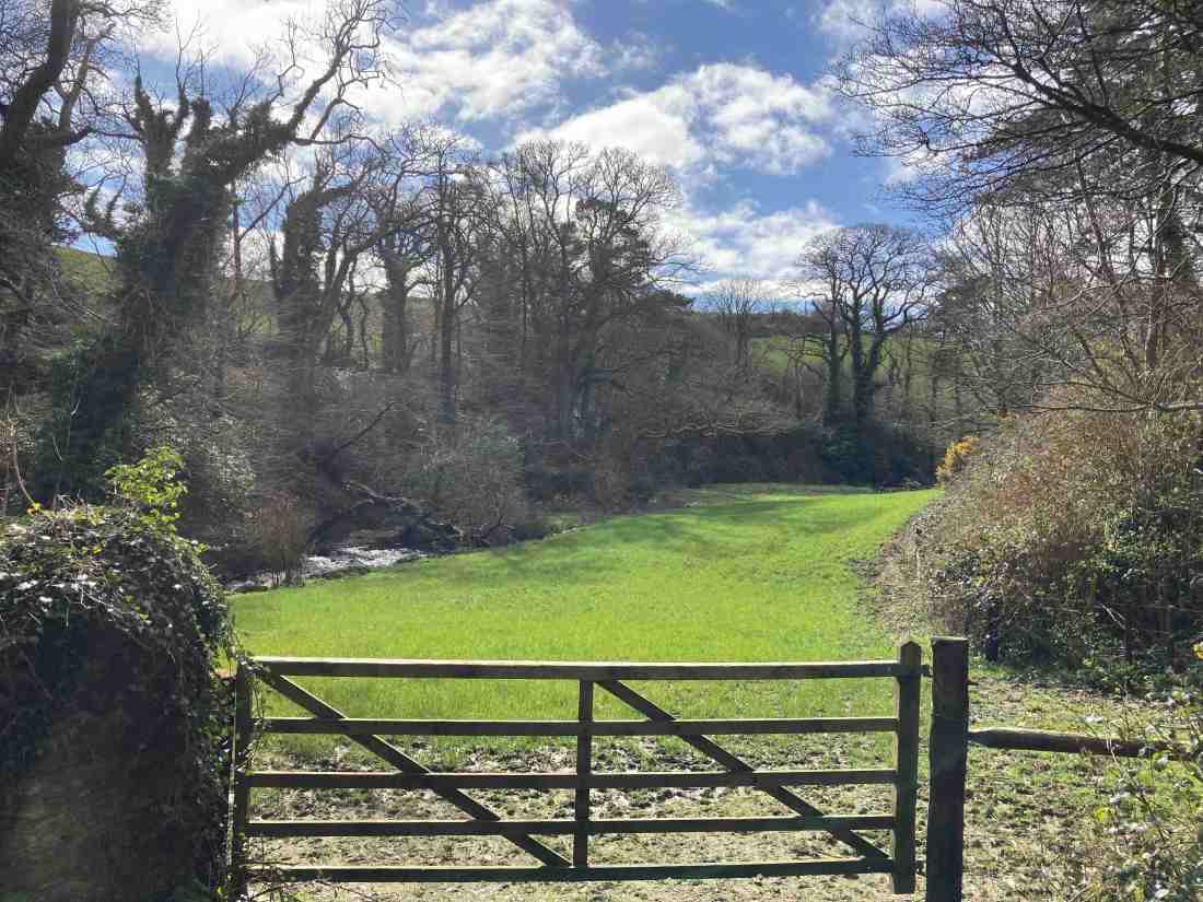 The western boundary